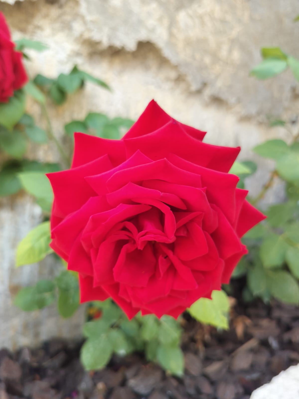 Surrounding of Villa Vounó